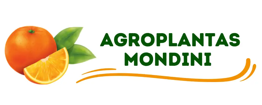 Mondini - Tecnologia Vegetal
